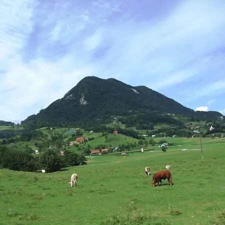 Feriehus & The At St Donat's